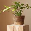 Plant Organizer Flower Pots 3 Size Desktop Indoor Outdoor Planter Woven Seagrass Baskets Decorative for Home Garden Container
