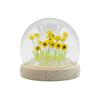 Cúpula de Jardim Brilho Floral – 20 Girassóis – LED USB