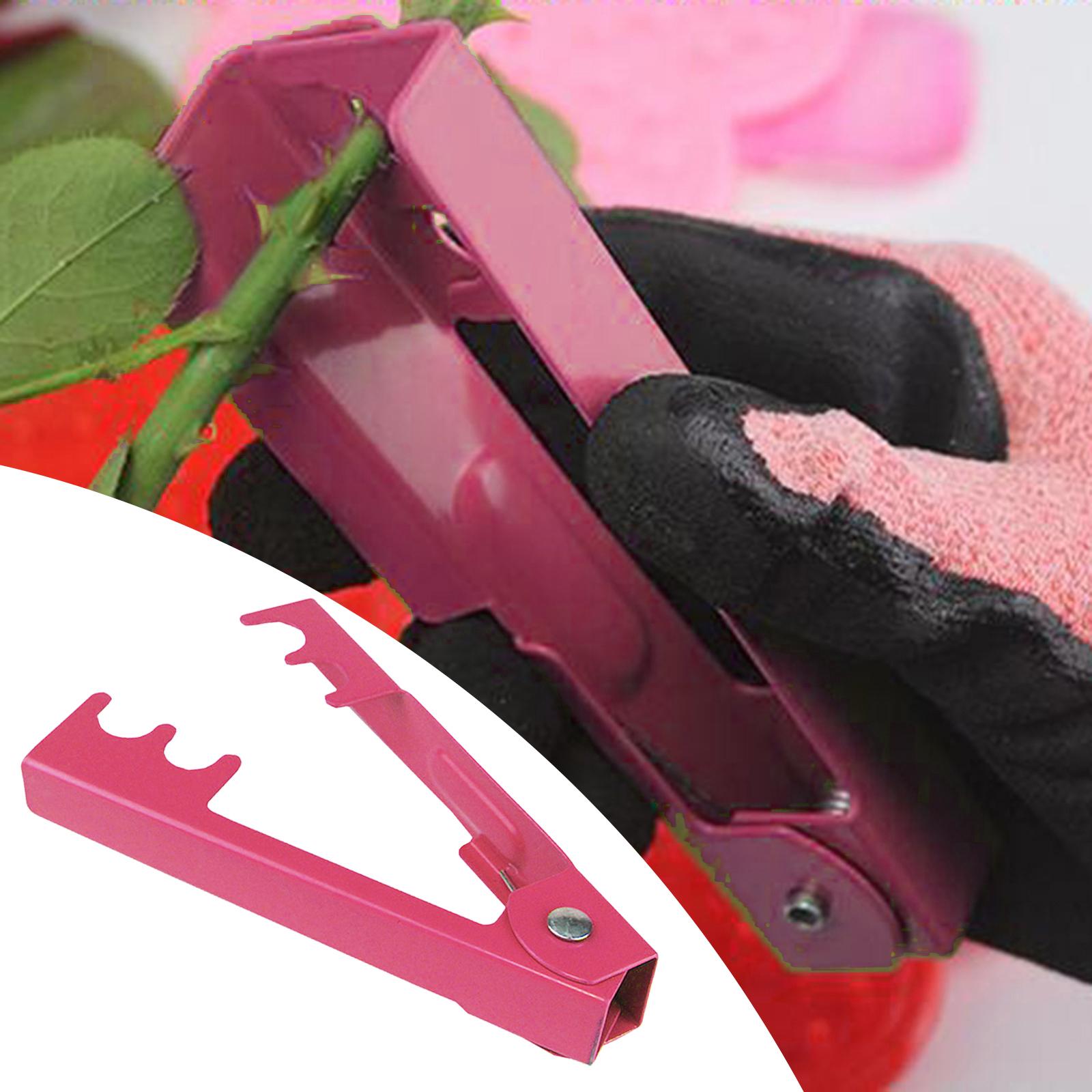 Thorn Removal Clip Remover Tool Kit Pliers Stab Stab Clip Arrangement Thorn for розовый