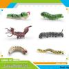 Gold Swallowtail, Geometer Moth, and Beetle Larva Toys - Cross-Border Science & Education Models for Children