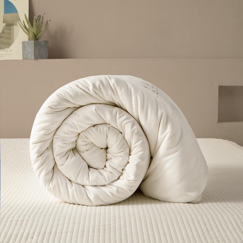 Ailan Huijia Xinjiang Cotton Quilt