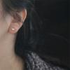 925 Sterling Silver French Simple Word Shiny Zircon Stud Earrings Women Classic  Party 14k Gold  Plating  Jewelry Gift
