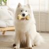 Faceted Bone Dog Toy Rubber Dog Chew Toy Teeth Cleaning Dog Bone Toy for Aggressive Chewers Puppy Teething Interactive Fetch Play