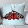 Butterfly Art Ladybug Tiger Moth Beetle Pillow Case Fashion Square Pillowcase Bedroom Sofa Room Ins Decoration Leisure