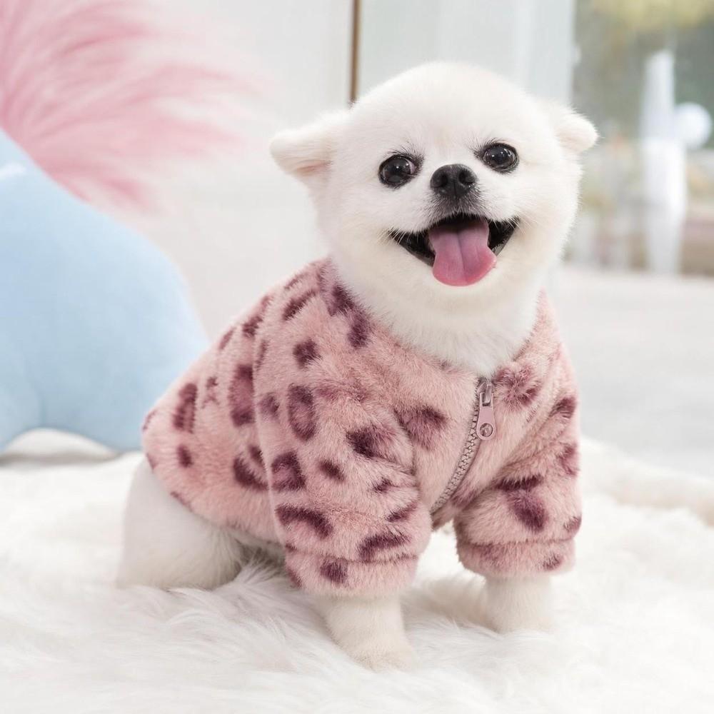 Windproof Dog Warm Clothes Love Leopard Print Plush Dogs Coat for Small Medium Dog