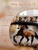 Animal Horse Bedding Sets Powerful Wildlife Hyper-Realisti Style 3PCS Duvet Cover 2Pillowcases For Kids Adult Home Decoration