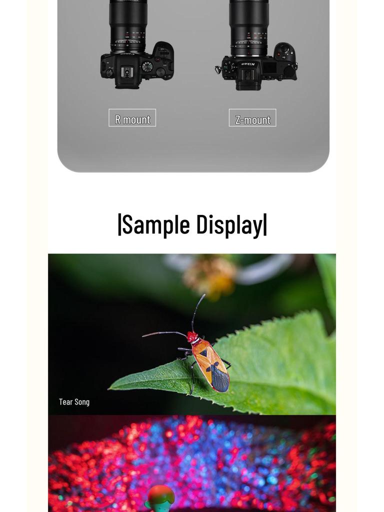 Laowa 90mm F2.8 Macro Lens for Full-Frame Mirrorless, 2x Magnification for Insects & Flowers