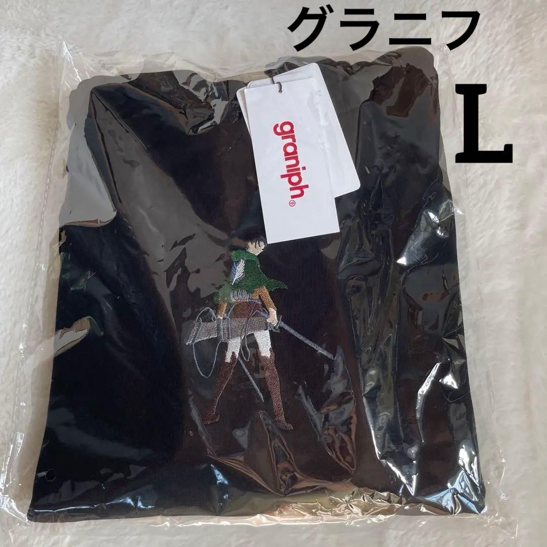 

[USED] Graniph Attack on Titan Wings of Freedom Big Silhouette Short Sleeve Hoodie, Embroidered, Size L