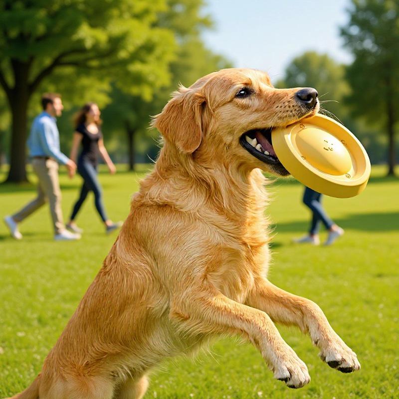 Brinquedo Frisbee Durável para Cães de Raças Grandes - Perfeito para Border Collies & Golden Retrievers
