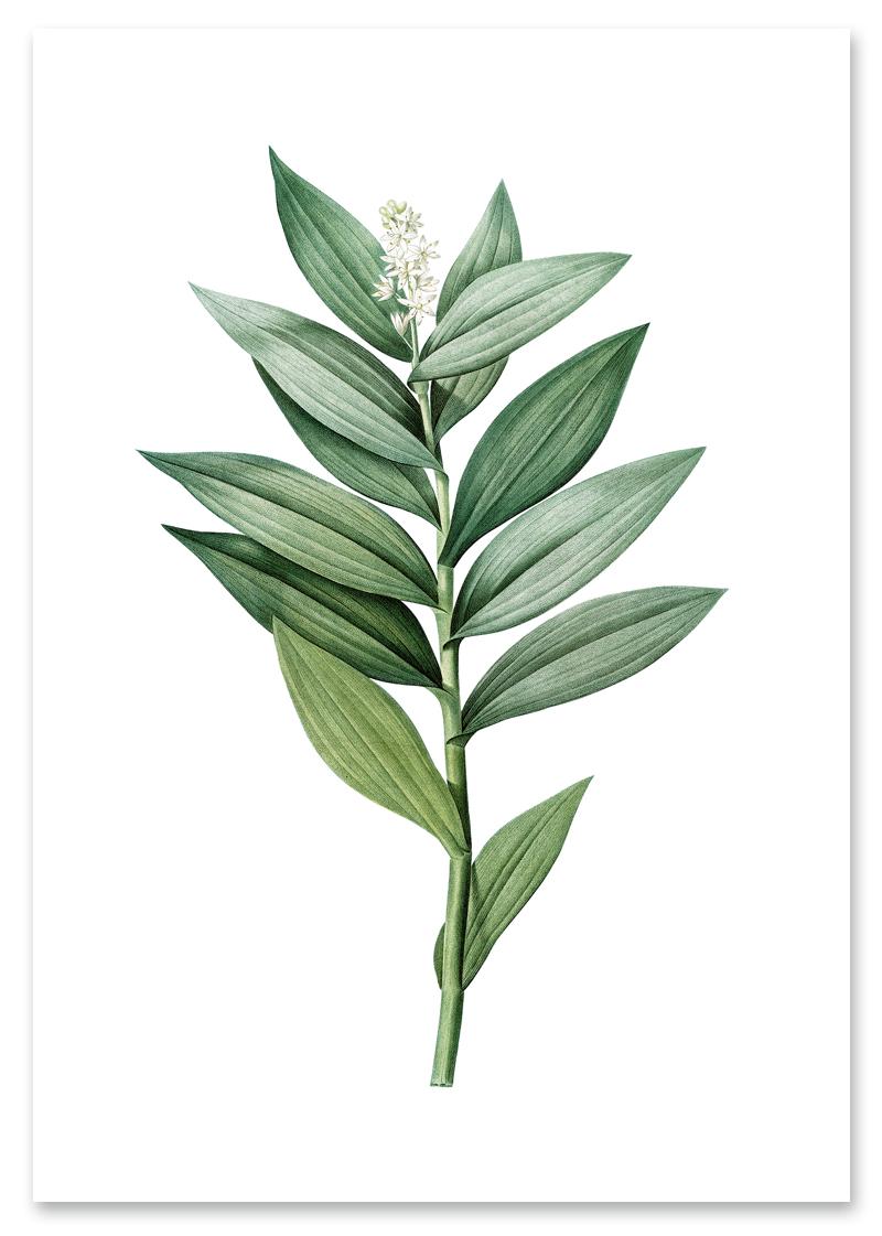 

Зелена гілка плакат 30x40 cm