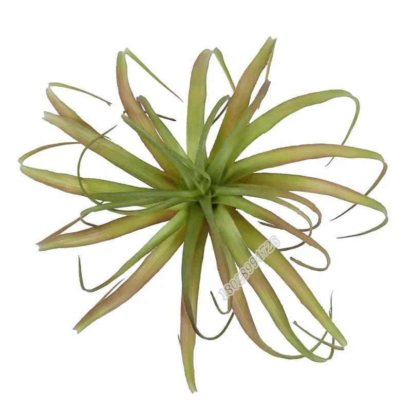 Artificial Flocking Fake Bromeliads Air Plants Hanging Simulation Tillandsia Plants For Home Wedding Party Flower Decoration
