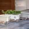 Maceta Transparente de Riego Automático para Plantas de Interior y Exterior Maceta de Plantación con Agujero de Drenaje Depósito Profundo Maceta para Hierbas y Flores con Cuerda de Mecha