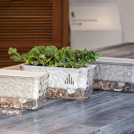Maceta Transparente de Riego Automático para Plantas de Interior y Exterior Maceta de Plantación con Agujero de Drenaje Depósito Profundo Maceta para Hierbas y Flores con Cuerda de Mecha