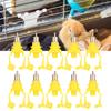 11PCS Rabbit  Pipe Interface Nipple Drinking Fountains Durable Automatic DrinkerG1 2 Short Type