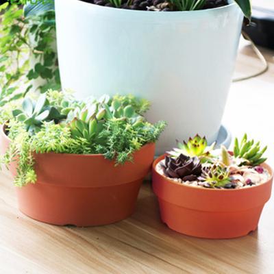 Succulent Flower Pot Mini Potted Plants Planters Office Decoration Garden Home Accessories EL