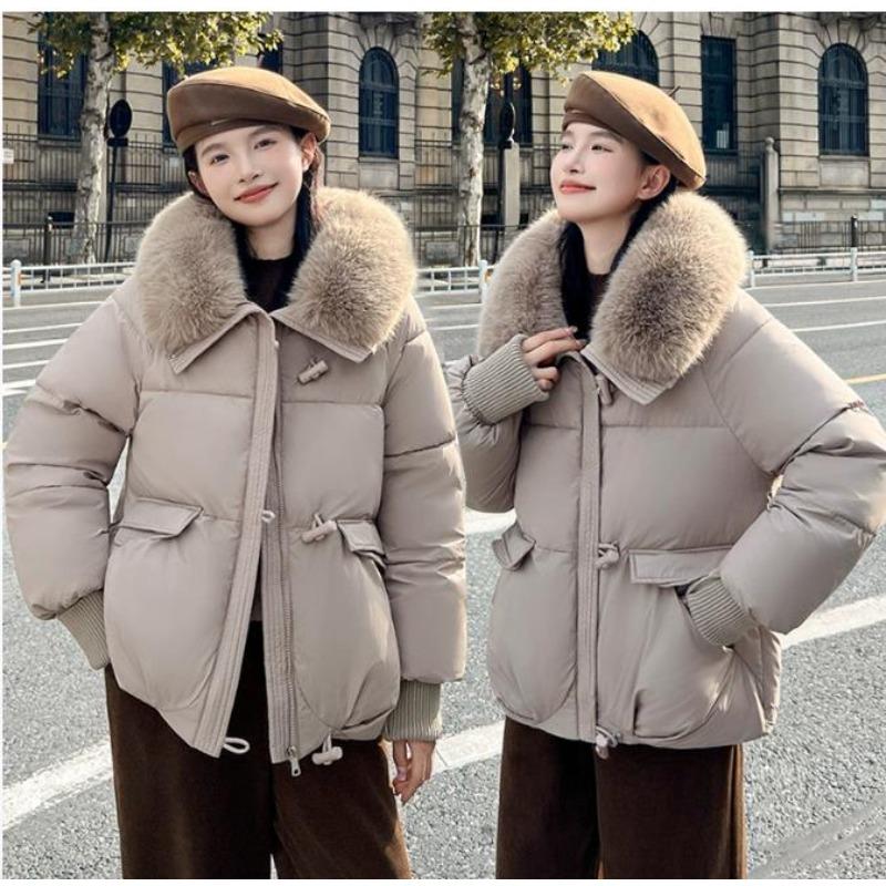Winter Dames Warme Jas Dikke Bontkraag Jas Kort Dons Katoen Losse Buitenkleding Effen Casual Vrouwelijke Parka's Jassen