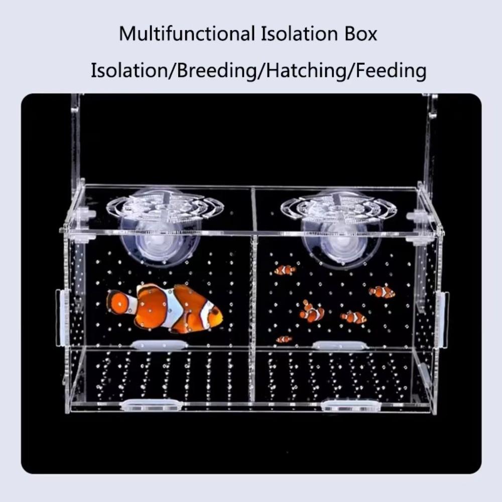 1PC Small Fry Aquarium Isolation Box Spawning Hatching Hatchery Divider Fish Breeding Box with Hook Acrylic Hydroponic Plant Box