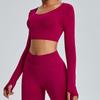 Fall and Winter New Arrival Seamless Long Sleeve Yoga Wear Women's Sports T-Shirt Tops Breathable Quick-Drying Tight Workout Clothes