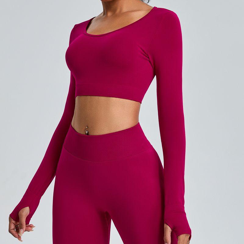 Fall and Winter New Arrival Seamless Long Sleeve Yoga Wear Women's Sports T-Shirt Tops Breathable Quick-Drying Tight Workout Clothes