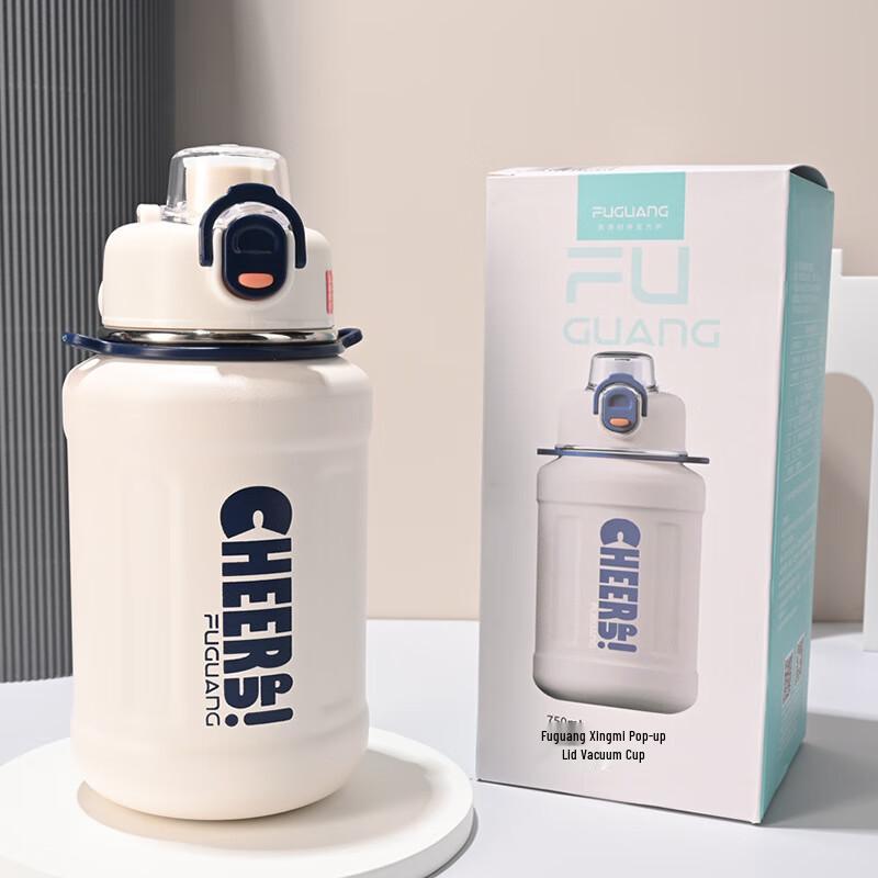 FUGUANG 750ml Insulated Stainless Steel Straw Bottle