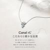 Early Summer Collection K10 White Gold Necklace Birthday Gift for Women Jewelry Pouch Included 152526223201 [Canal 4℃]