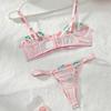 Embroidered Lace Thong & Mesh Lingerie Set