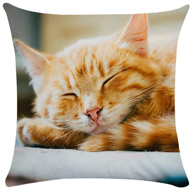 Cute Cat Pattern Decorative Pillowcase Living Room Office Decoration Home Pillowcase