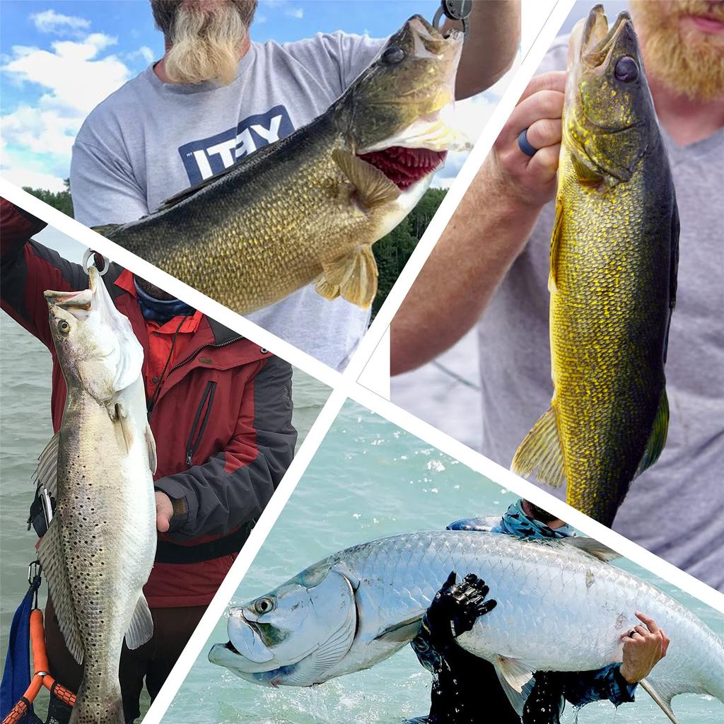 68kg Stainless Steel Wire Leaders for Hairtail with Swivels and Snaps 30-Piece, 50cm, Fishing, (Green)