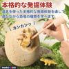 MARUHADO Dinosaur Egg Excavation Jumbo Size Toy with 14 Educational Toy for Tyrannosaurus Great Giant Egg Kit, Figures, Kids, Rex, Gift, Excavation,