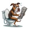 Funny Cat Dog Fox Tiger Animal on the Toilet Sticker Bathroom Toilet Cover Sticker Wall Sticker WC Home BathRoom Waterproof Decoration S353