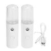 2PCS Portable Nano Facial Mister Mini Facial Steamer USB Rechargeable Mist Sprayer with 30ml Visual Water Tank for Skin