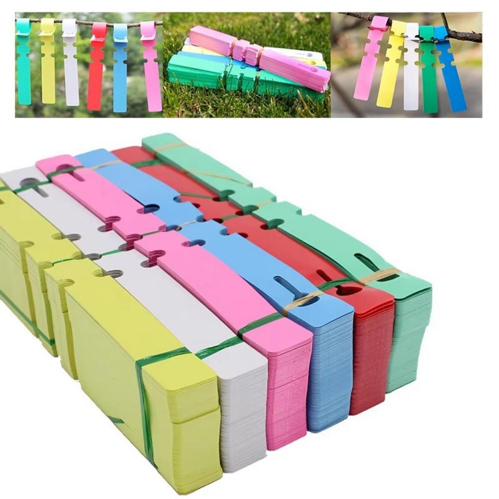 100pcs Reusable Garden Plant Tag Plastic Vegetables Labels New Ring Buckle Sign Markers Tool