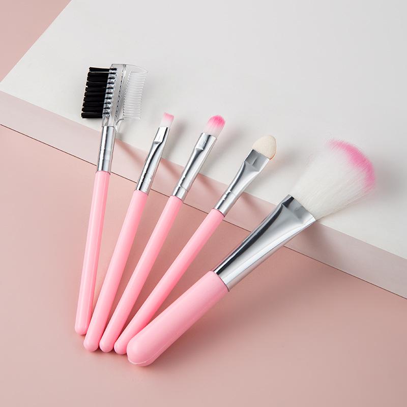 Pink 5-Piece Makeup Brush Set: Portable Brushes for Blush, Foundation, Eyeshadow, and Eyebrows
