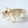 Halloween Decoration Mini Skeleton Bone Statues Poseable Rat Dog Spider Cat Owl Skeleton Figurine for Haunted House Party Decor