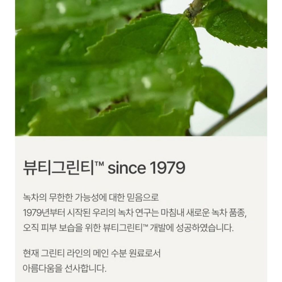 innisfree Green Tea Seed Hyaluronic Acid Serum Refill, 80ml