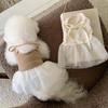 Lace Dog Dress Thin Mesh Mesh Skirt Fashion Dog Clothes  Dog Accessories
