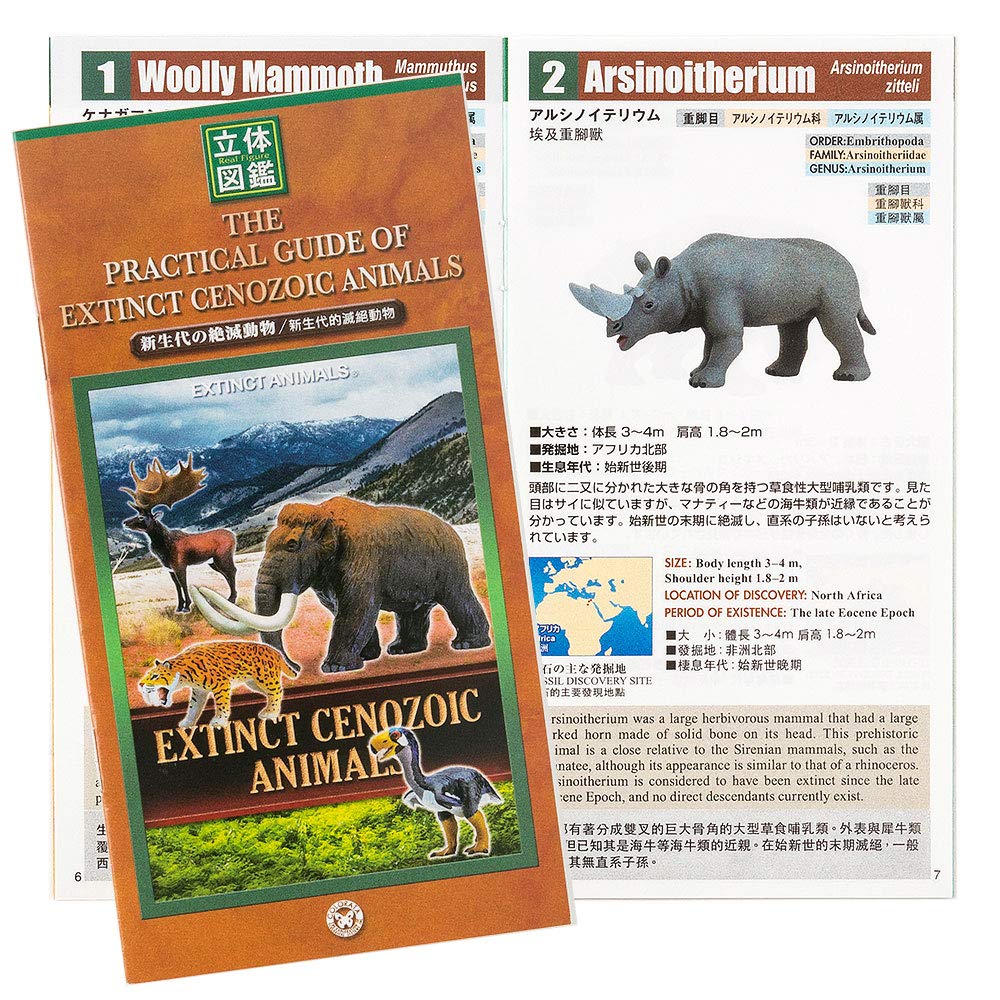 COLORATA 3D Encyclopedia Extinct Animals (Cenozoic) – Real Figure Box, 8 Figures + Multilingual Guide