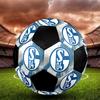 SIZE 5 FC Schalke 04 Soccer Ball Colorful All Ages Machine Stitched PVC Competition Ready Durable High-Bounce