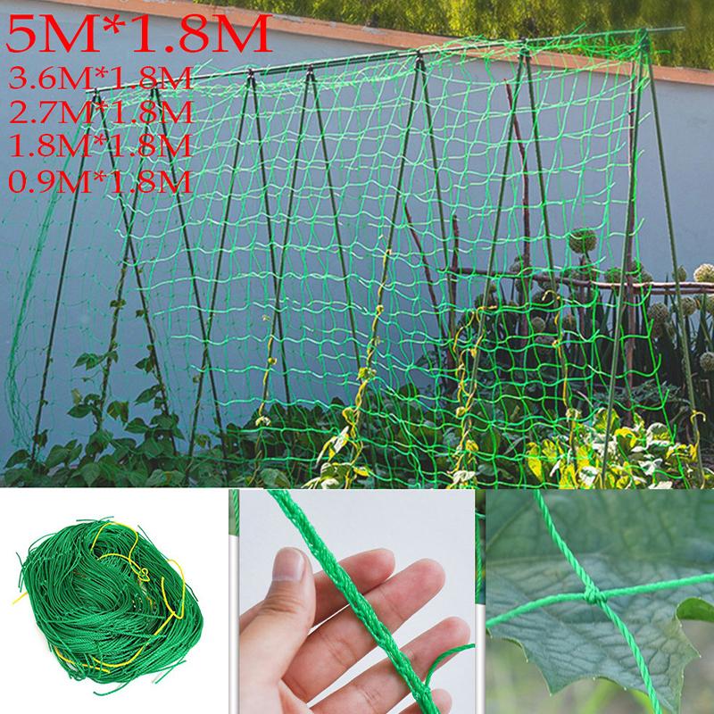 Zelená popínavá síť na rostliny Zahradní mřížová síť Síť na pěstování okurek a závěsných melounů Podpůrná síť Síť odolná proti větru pro chryzantémy