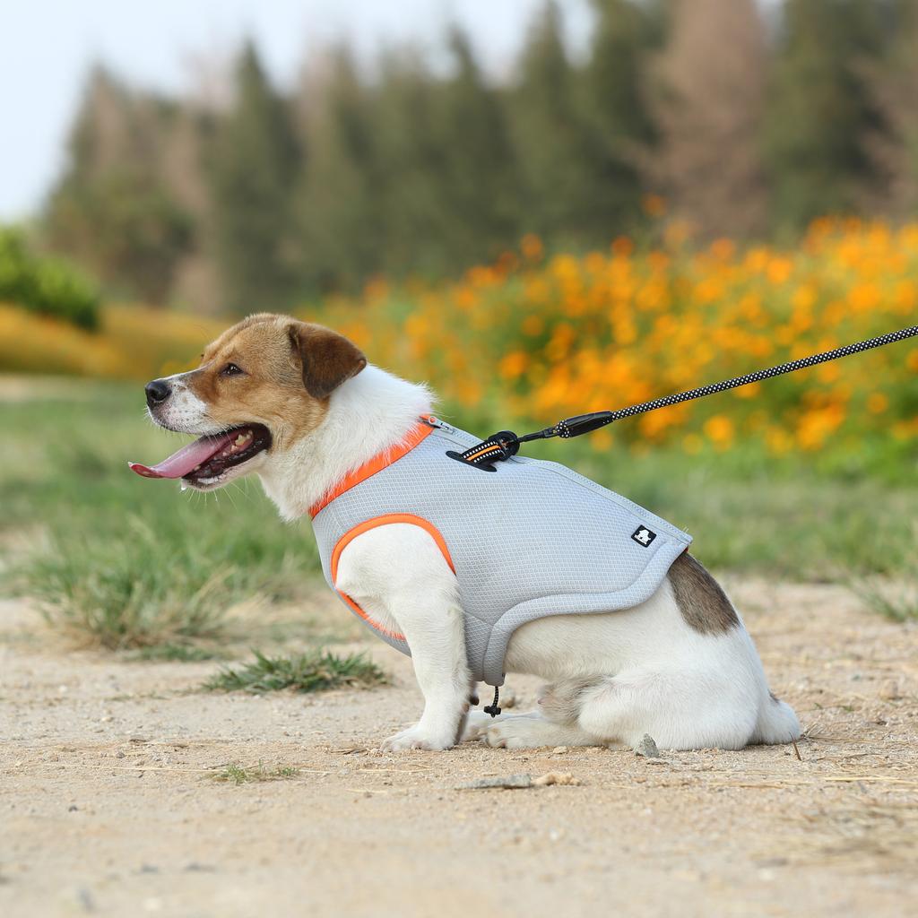 Winhyepet Dog Cooling Vest Clothes Rapid Cool Jacket For Small Large Dog Accessories Outdoor Coat Reflective Costume Fashionable