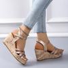 Fashion Ankle Strap Wedge Heel Sandals for Women 2024 Cross Strappy Thick Platform Sandalias Woman Summer Buckle Gladiator Shoes Ladies