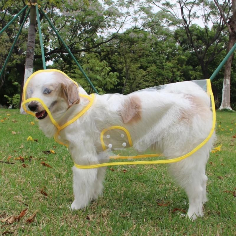 XS-8XL Pet Supplies Dog Raincoat Waterproof Transparent Plastic Fashion Poncho Personalized Color Edge Costumes for Large Dogs