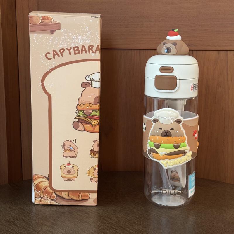 Dilebell Insulated Straw Water Bottle