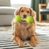 Hantel Hundespielzeug mit Glocke Bissfest Langeweile Stressabbau TPR Hantelform Welpenspielzeug Haustier Zahnen Reinigung Interaktives Spielzeug