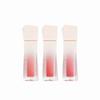 Couture Lippentönung Blur Velvet 5,5 g