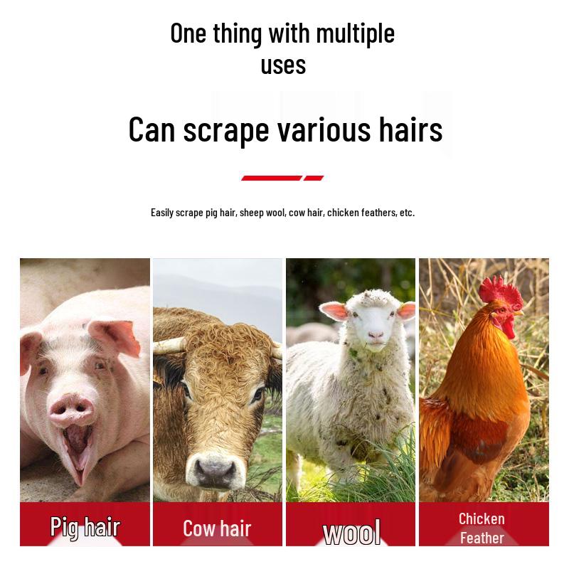 Hog Bristle Manganese Stainless Steel Scraping Tool for Pigskin Hair Removal and Slaughter