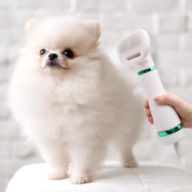 

Pet Grooming Brushing Drying Low-Noise Safe Pet Dryer