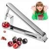 Stainless Steel Cherry Pitter Press Tool Fruit Cherries Olive Corer Seeds Remover for Making Cherry Jam Kitchen Gadget