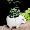 Outdoor Courtyard Garden Decoration Ornament Creative Hippopotamus Ceramic Craft Flower Pot Balcony Desktop Potted Ornament