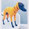 European & American Solid Color High-Neck Slim Fit Ribbed Dog Clothes for Autumn & Winter.